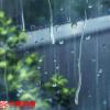 江单散文：听雨